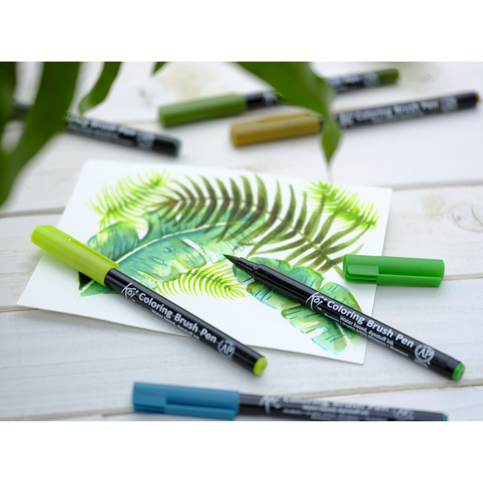 Conjunto de 6 marcadores de pincel botânico Sakura Koi Color Brush
